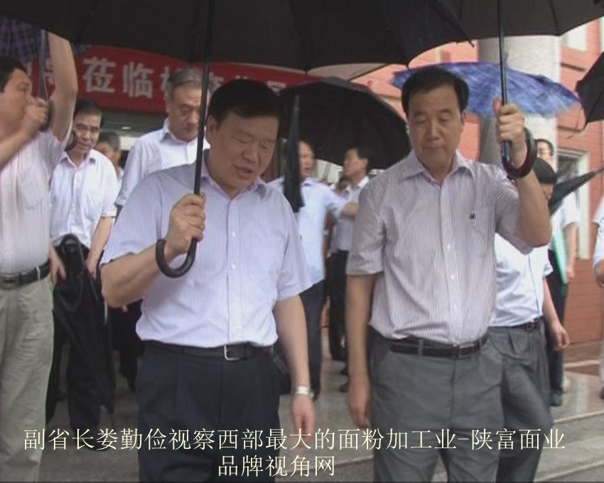 陕西省常务副省长娄勤俭视察西部最大的面粉加工业陕富面业
